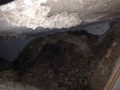 ���ڰ�ρ�������� �컨���ρ��