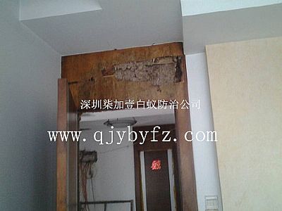 �T�򱻰�ρ������ô�k��