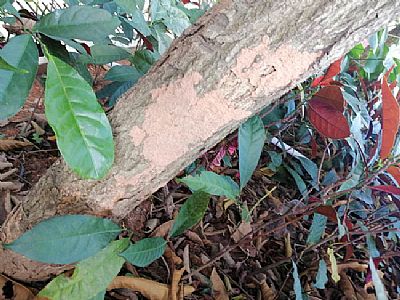 ����С�^(q��)�G����ρ����