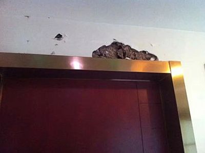 �T��l(f��)�F(xi��n)��ρ���T���Ϸ��ѳ�ρ��