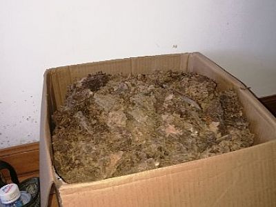 �¹�l(f��)�F(xi��n)��ρ �ײ��ڳ�����ρ��