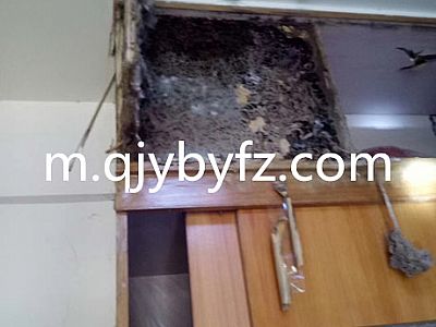 ����l(f��)�F(xi��n)��ρ���¹��ѳ�ρ��