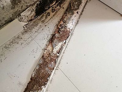 �����а�ρ���_������ρ���g��