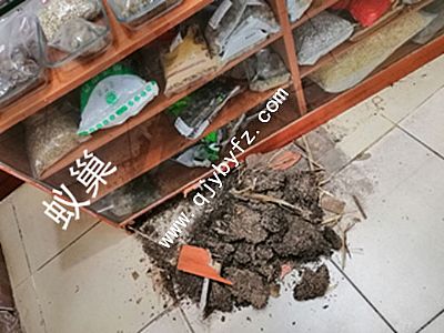 ��ɽ�ϱ�ˎ�й��������ڳ�ρ��