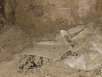 �_������ρ��˾ �¹��ѽ�(j��ng)�ɰ�ρ��