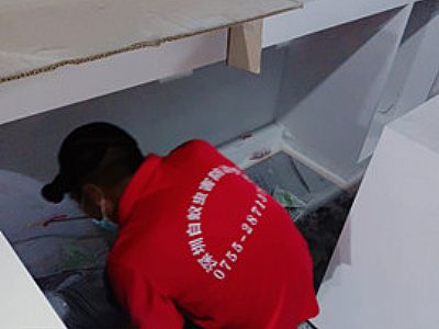 �ʘ�������ρ�A(y��)��