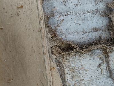 ��ρ�ǡ��ڰ��е��Ɖ��ߡ�